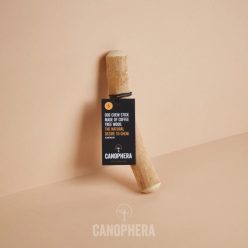 Canophera - Kávéfa rágóbot - S - 18-22cm